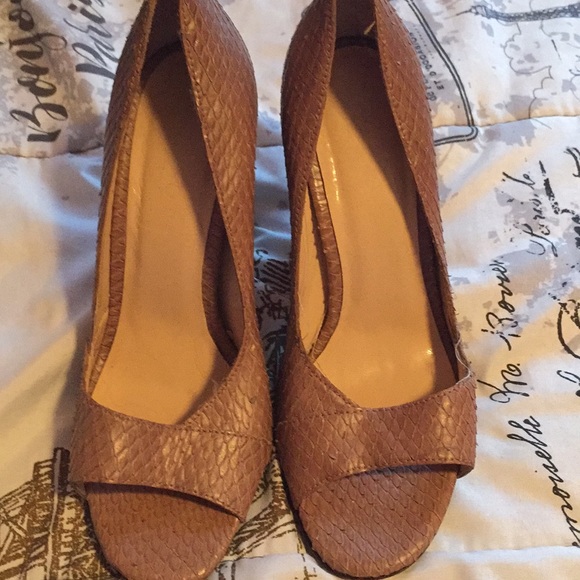 Talbots heals - Picture 3 of 3